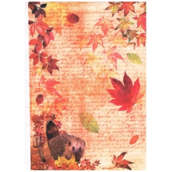 Papier ryżowy Ciao Bella A4 21*29,7cm   CBRP060  jesień,jeż, liście